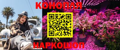a pvp Белореченск