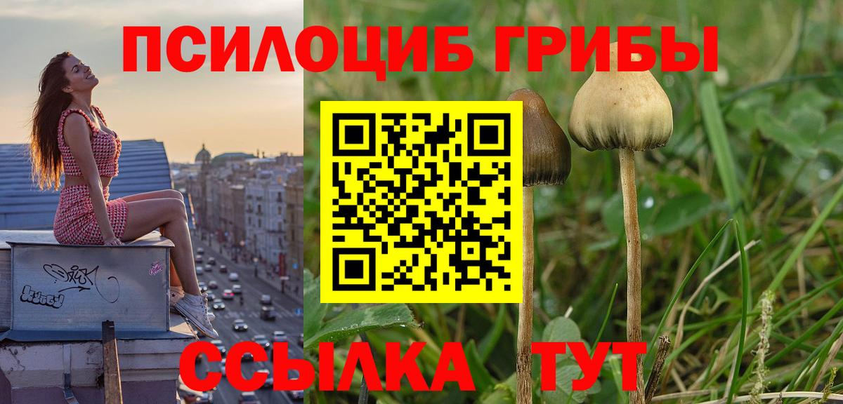 Галлюциногенные грибы мухоморы Александров
